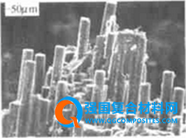 微信圖片_20180808133027