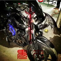 碳纖維汽車配件、摩托車配件、航空及運動用品